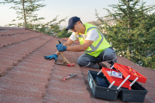 Best Roof Leak Repair  in Dale, IN